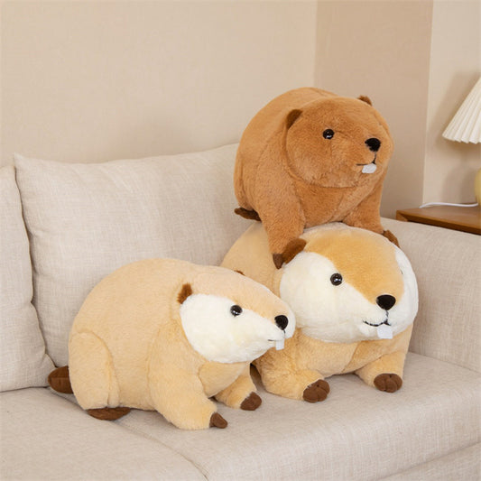 Cuteeeshop Gate Tooth Sea Otter Stuffed Animal Kawaii Plush Pillow Squish Toy