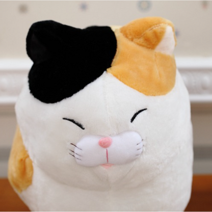 Cuteeeshop Fat Cat with Round Face Stuffed Animal Kawaii Plush Pillow Squish Toy